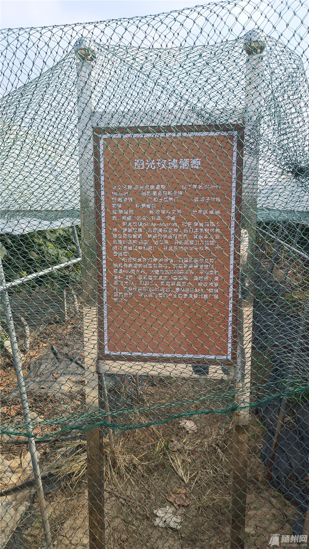 ΢ͼƬ_20210918104115.jpg