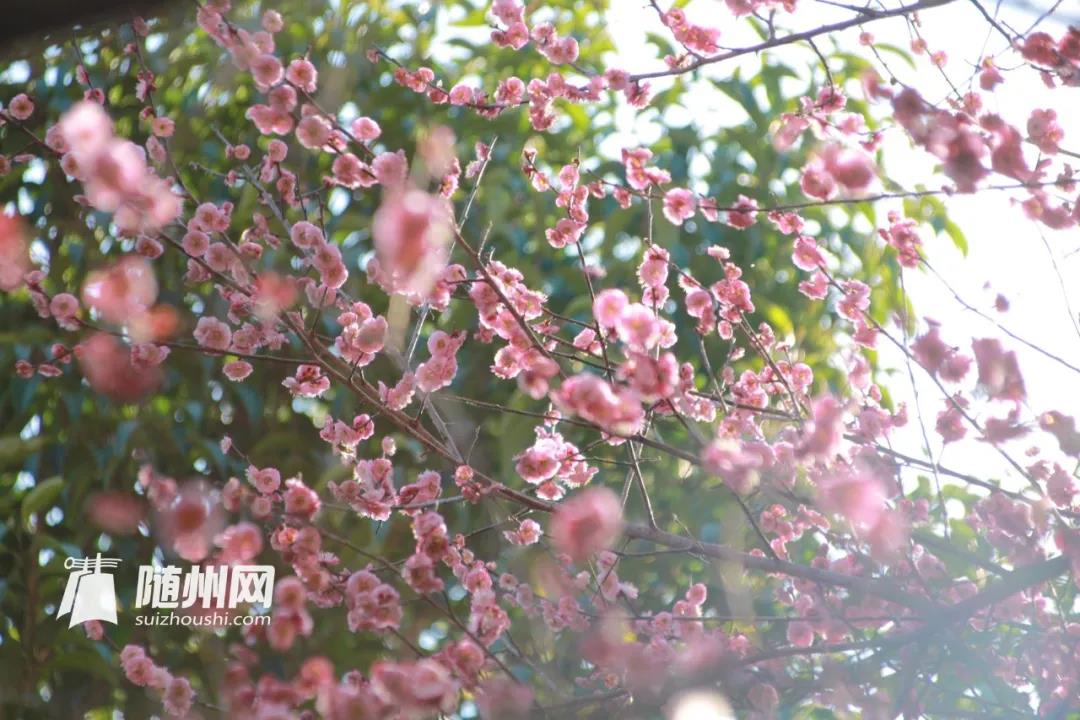 微信图片_20220209082420.jpg
