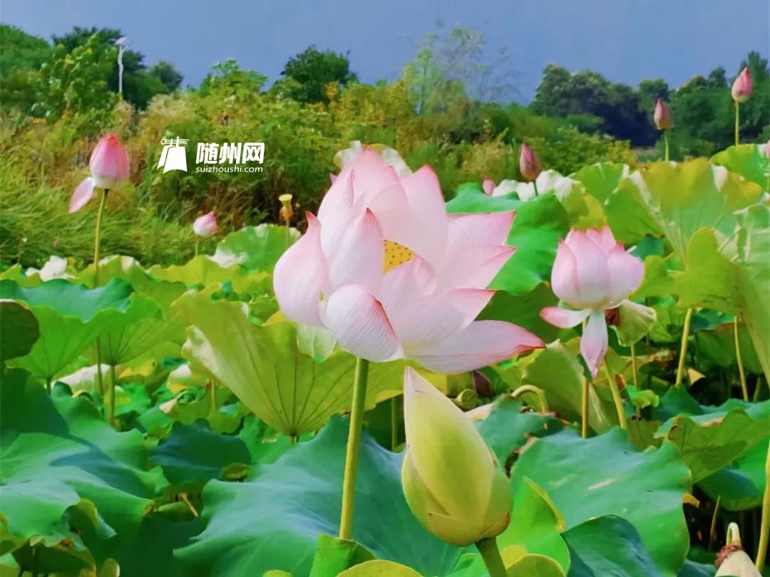 微信图片_20220209082448.jpg