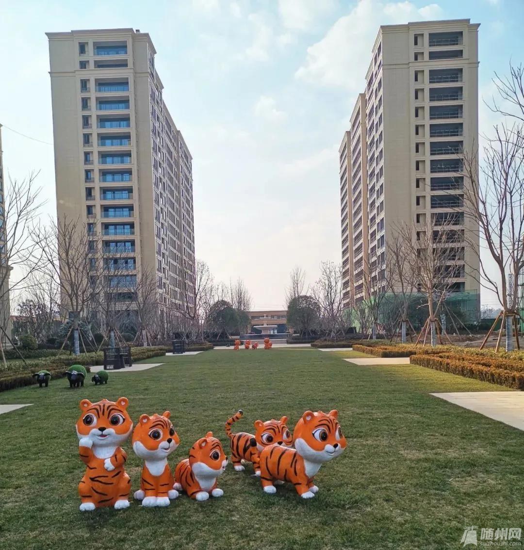 Q.jpg