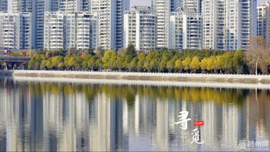 微信图片_20220224110130.jpg