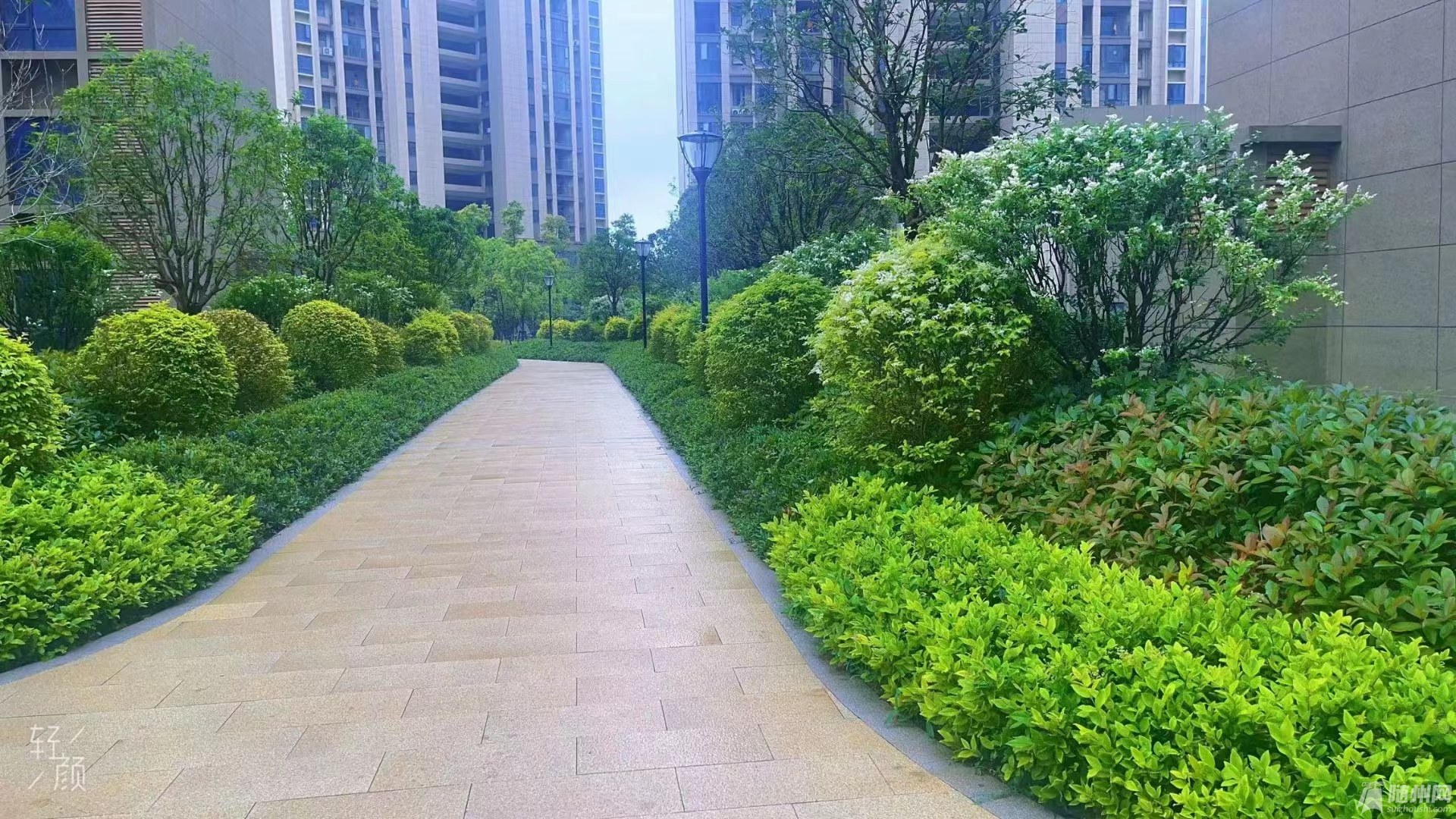 微信图片_202305101118321.jpg