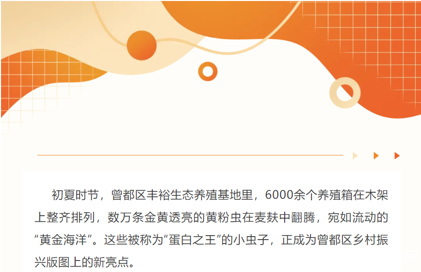 1750055211211.png