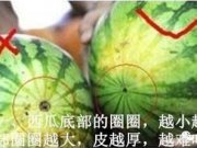Сʿ쵽ô