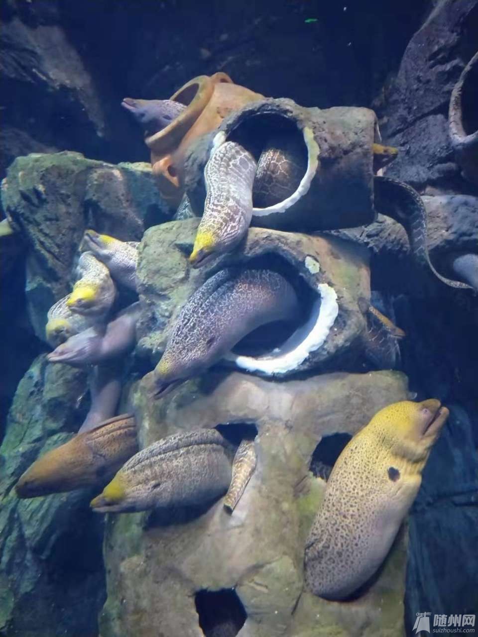 珠海横琴长隆海洋世界
