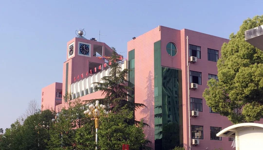 提到曾都一中,没有人不知道那些粉红色的大楼,那些在家里待了三个月